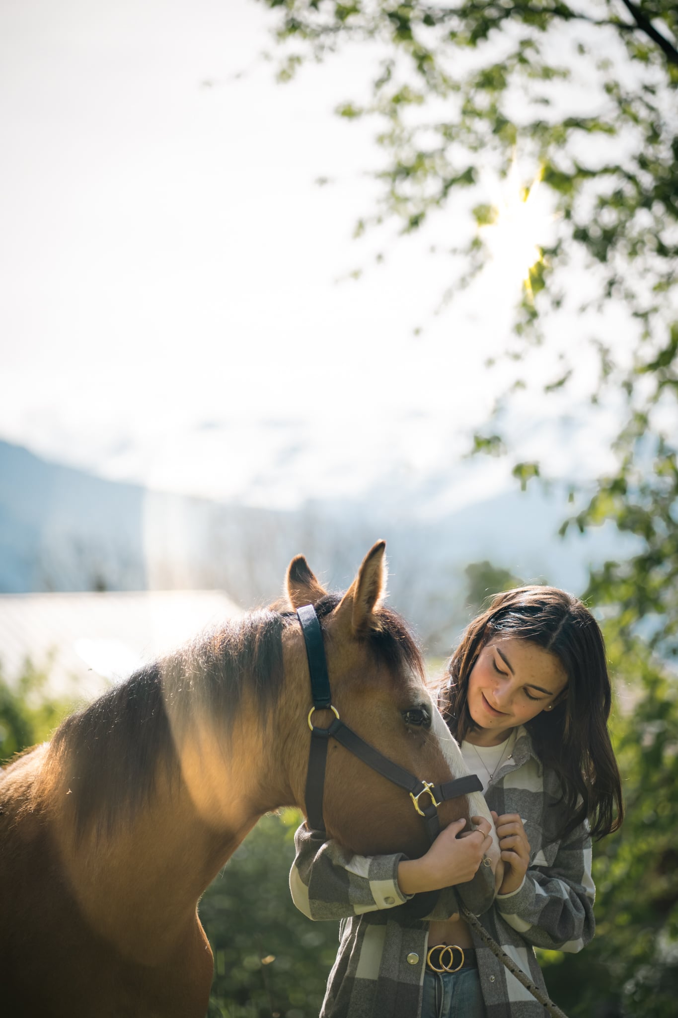 photographe animaux chambery